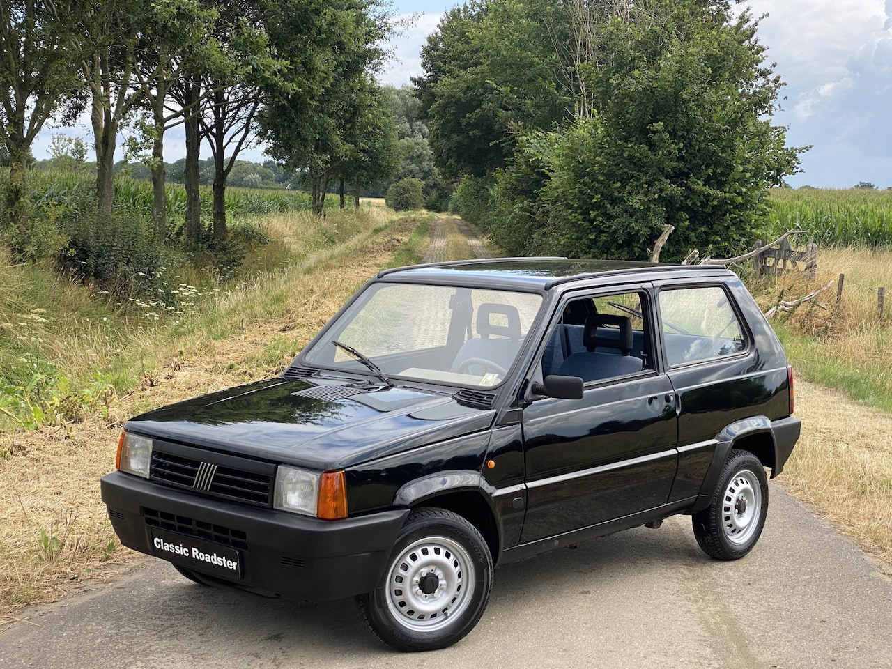 Fiat Panda - 1.1 Young OPKNAPPER! NL AUTO! - AutoWereld.nl