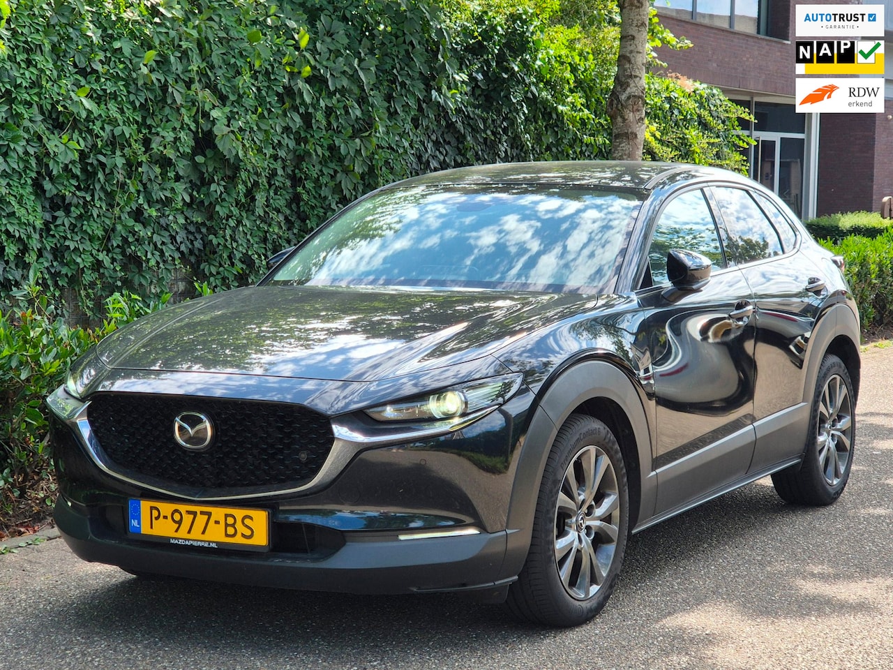 Mazda CX-30 - 2.0 LUXURY e-SkyActiv-X M Hybrid Luxury BOSE Geluid 1e Eigenaar NL NAP Navi Dode hoek Trek - AutoWereld.nl