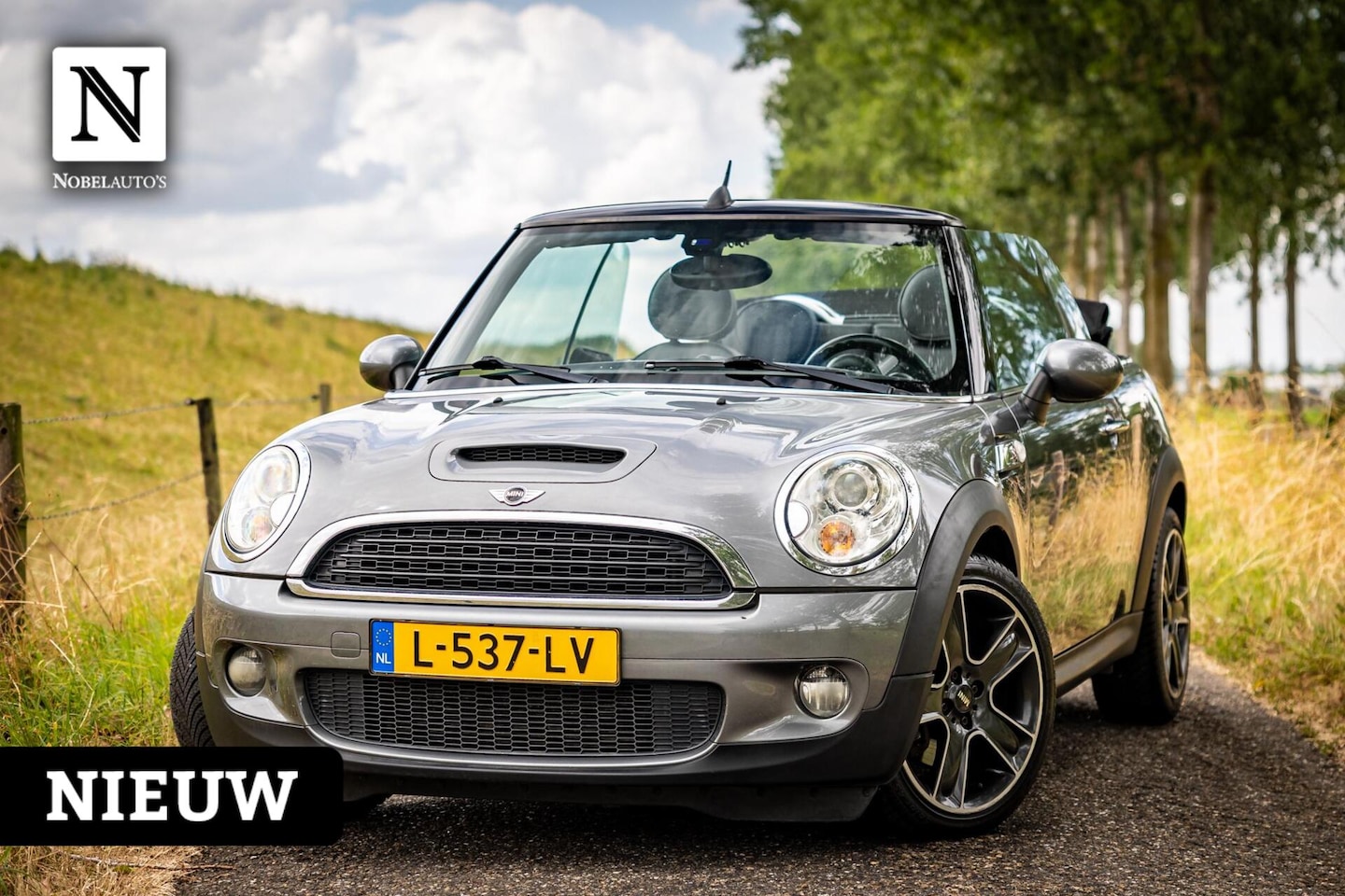 MINI Cabrio - 1.6 Cooper S |Leder |Xenon |174pk - AutoWereld.nl