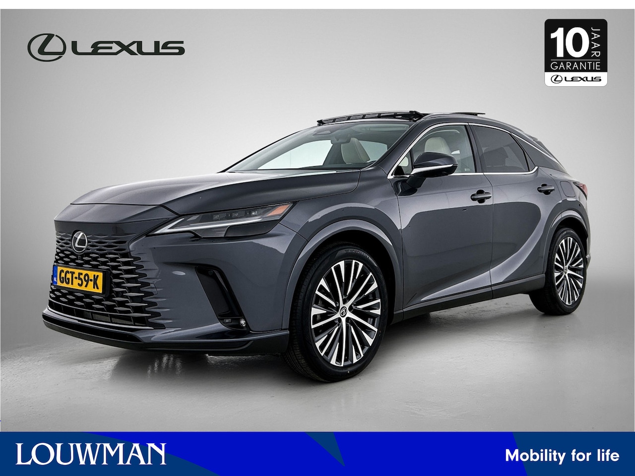 Lexus RX 450h - 450h+ Plug-in Hybrid Executive Line | Dealer onderhouden | Lederen bekleding | Memory Seat - AutoWereld.nl