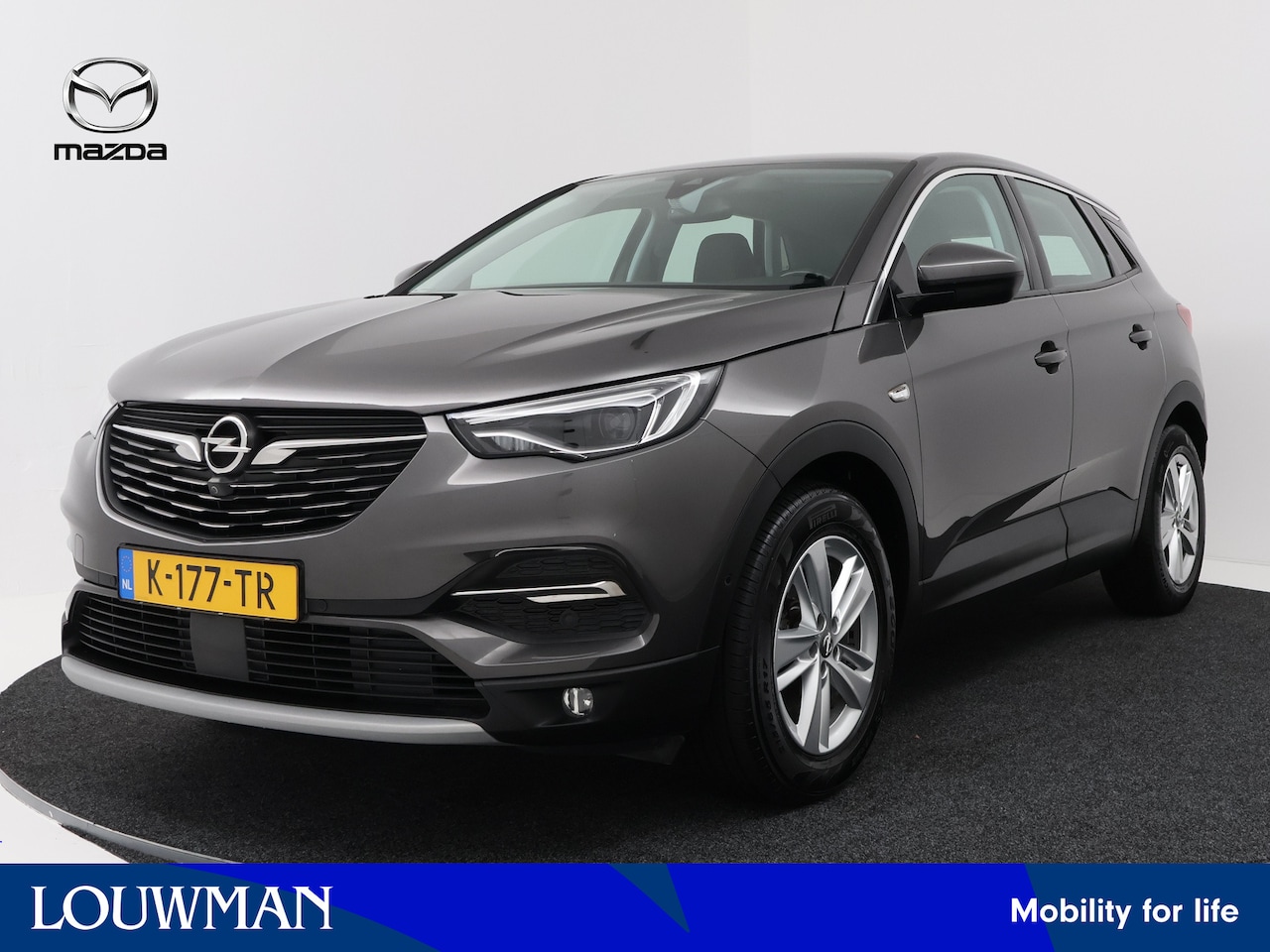 Opel Grandland X - 1.2 Turbo Business Elegance | Trekhaak | Riem vervangen 2024 | Navigatie | Climate Control - AutoWereld.nl