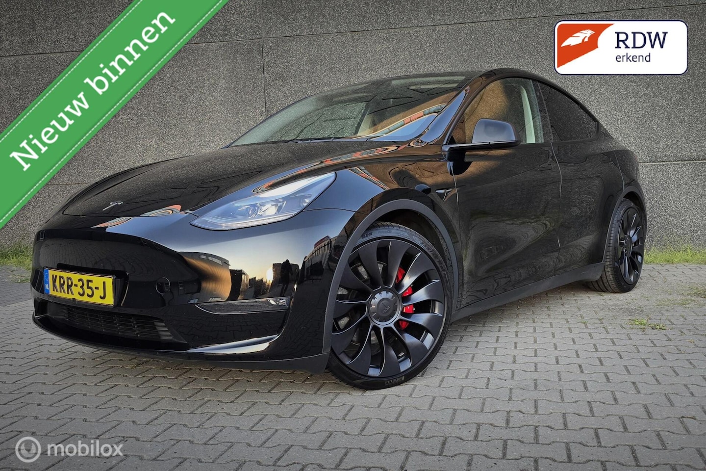 Tesla Model Y - Performance AWD 75 kWh Autopilot|Premium audio - AutoWereld.nl
