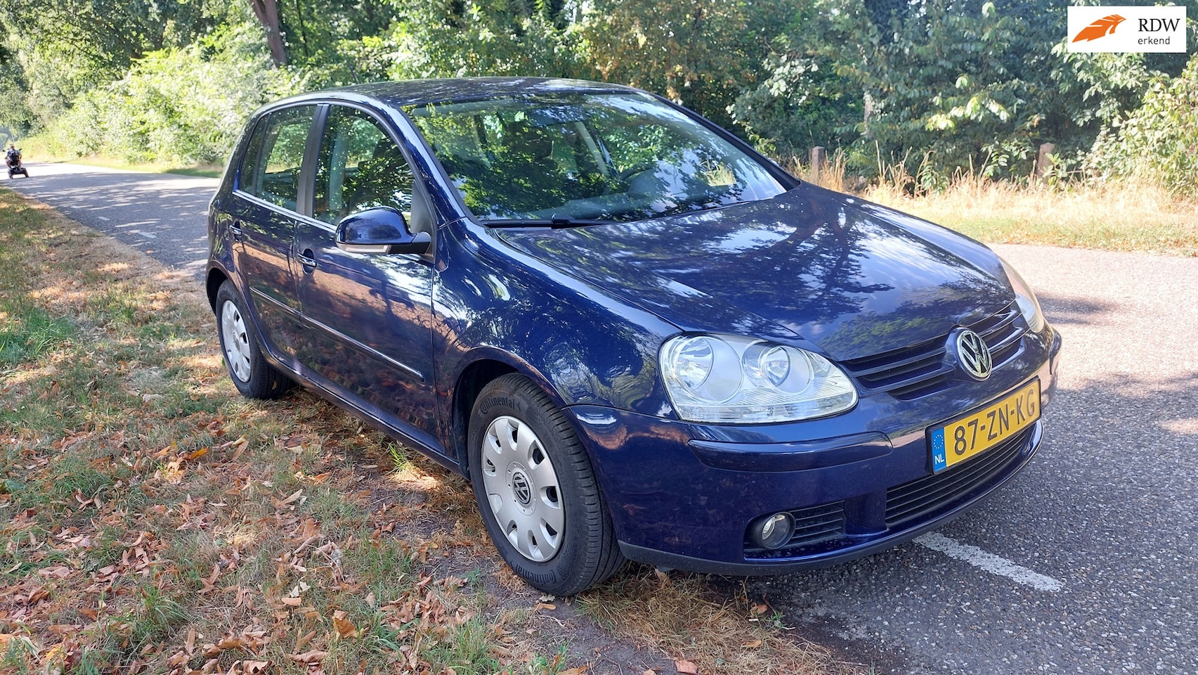 Volkswagen Golf - 1.6 Turijn 1.6 Turijn - AutoWereld.nl