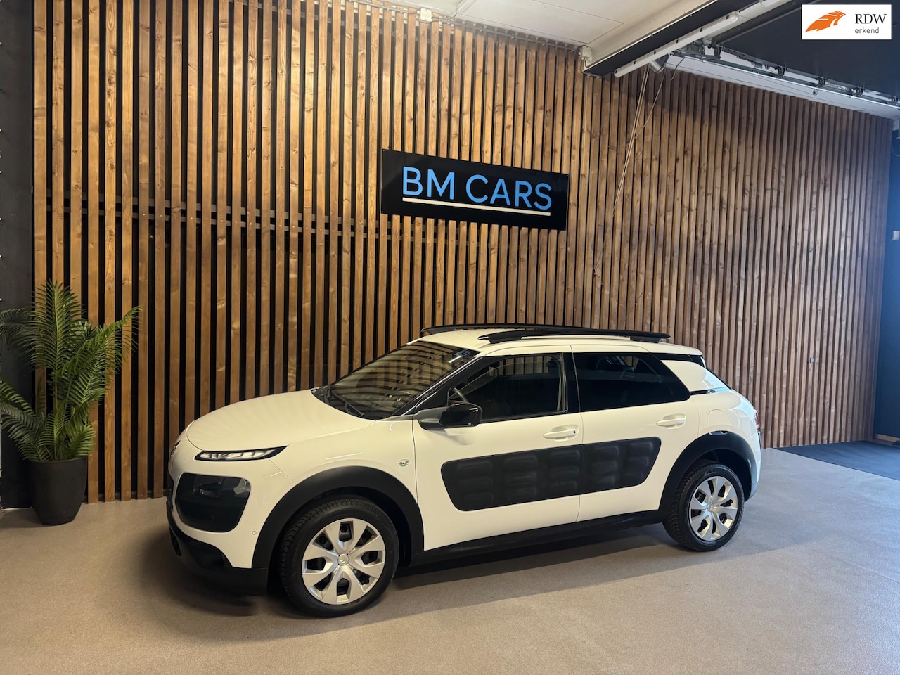 Citroën C4 Cactus - 1.2 PureTech Business Plus 1.2 PureTech Business Plus Airco, Camera,Pdc - AutoWereld.nl