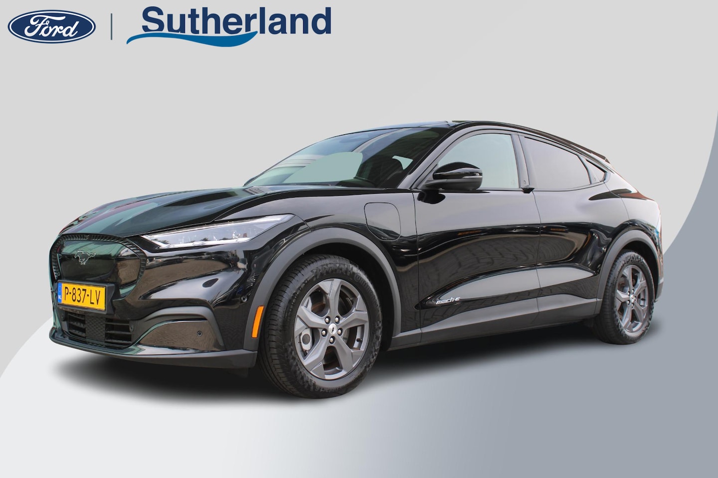 Ford Mustang Mach-E - RWD 75 kWh | SOH 92,5% | Technology Pack Plus | Panorama Dak | Volledig Lederen Interieur. - AutoWereld.nl