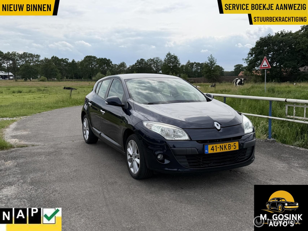 Renault Mégane - 1.6 Airco 5Deurs Trekhaak PdC Apk 08-03-27 - AutoWereld.nl