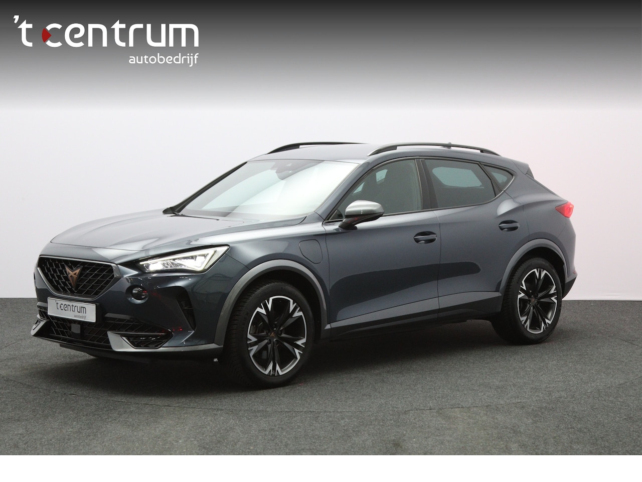 CUPRA Formentor - 1.4 e-Hybrid 204 PK Adrenaline PHEV, Kuipstoelen, Memory, Camera, Adap. Cruise Control, Wi - AutoWereld.nl