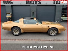 Pontiac Trans Am - Firebird 6.6 Targa