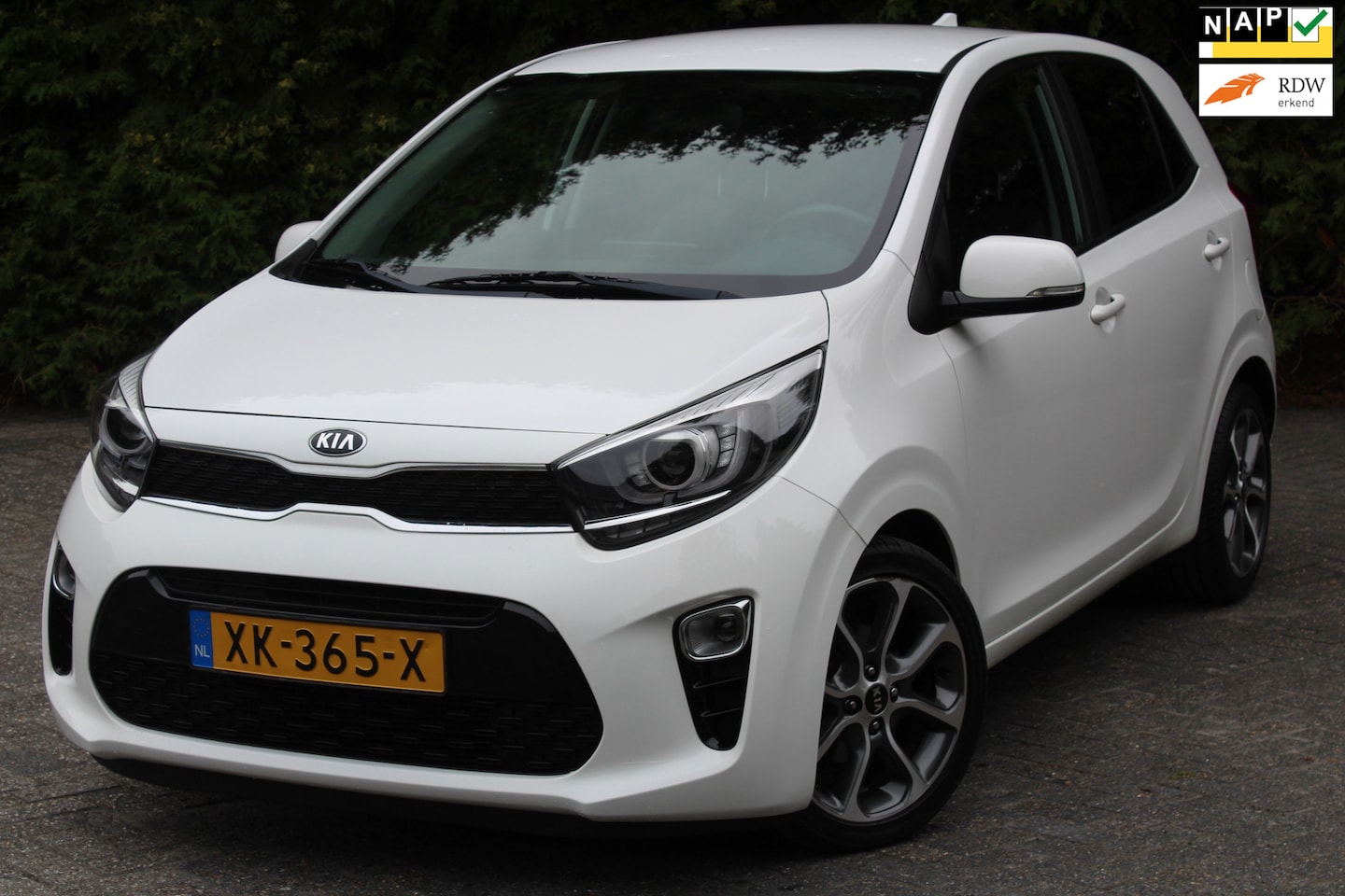 Kia Picanto - 1.0 MPi DynamicLine 67PK | Navigatie | Parkeercamera | Lederen bekleding - AutoWereld.nl