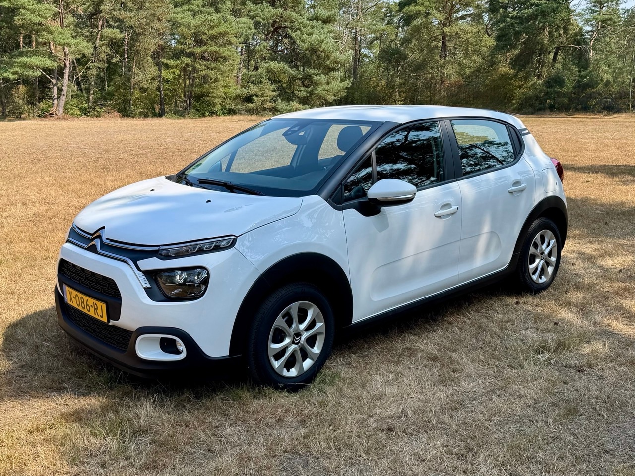 Citroën C3 - 1.2 PureTech S&S You - AutoWereld.nl