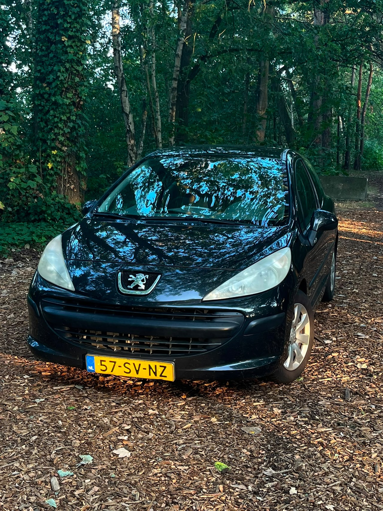 Peugeot 207 - 1.4-16V XS - AutoWereld.nl