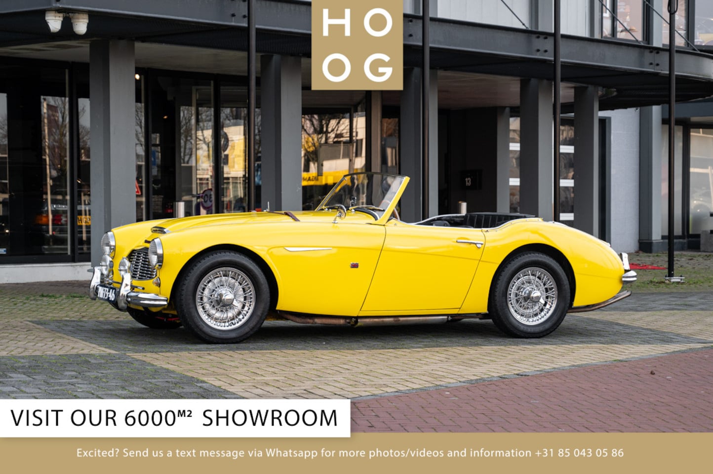 Austin 100-6 - Healey - AutoWereld.nl