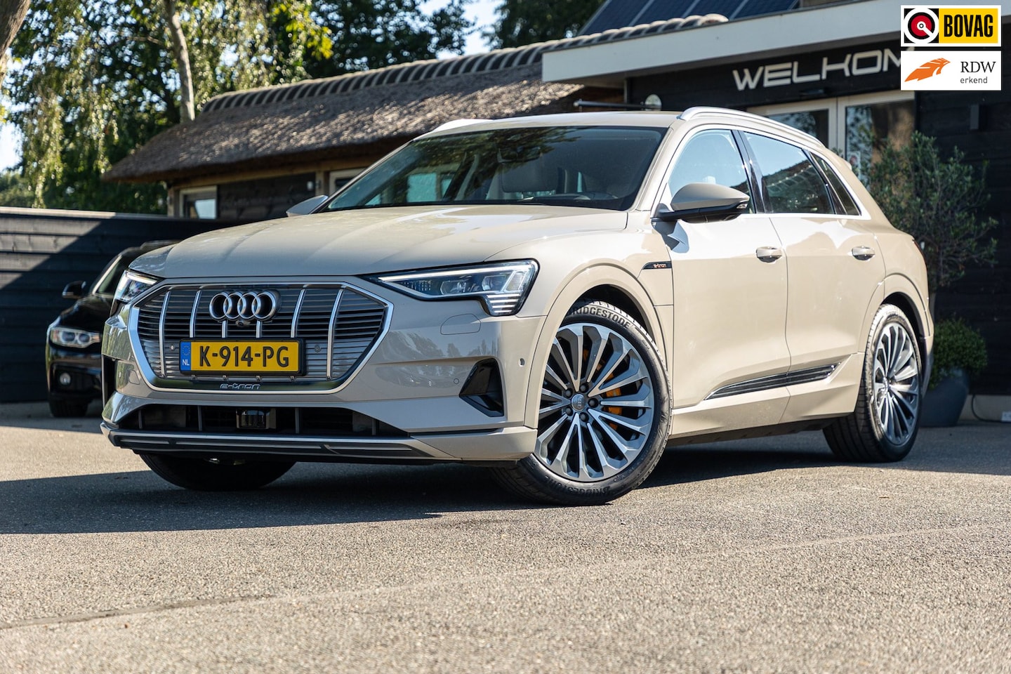 Audi e-tron - E-tron 55 quattro advanced Pro Line Plus 95 kWh Soh 95% I Siambiege I Luchtvering I Stoelk - AutoWereld.nl