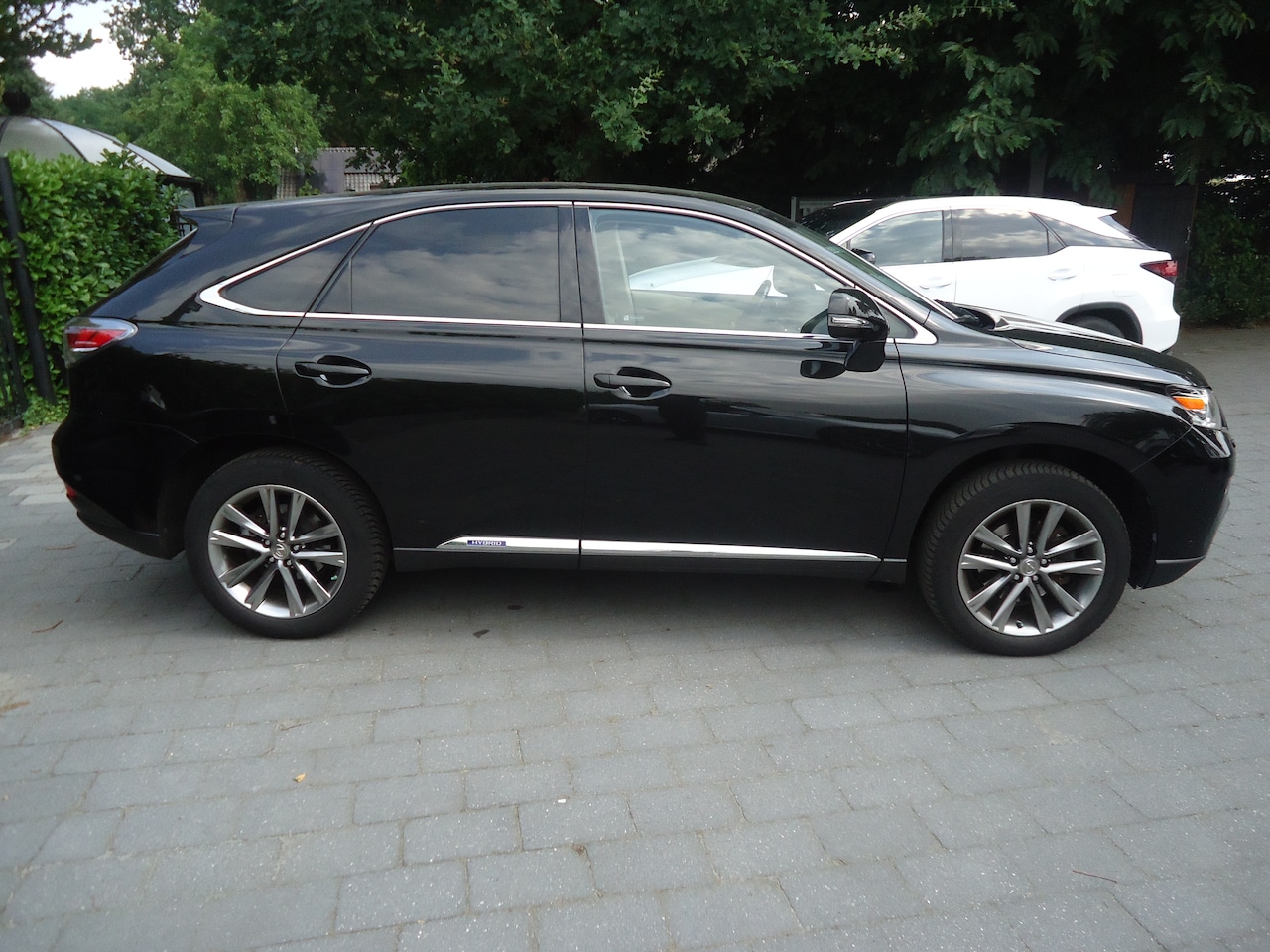 Lexus RX - 450h 4WD President Line EEN ECHTE PRSIDENT, BOMVOL OPTIES