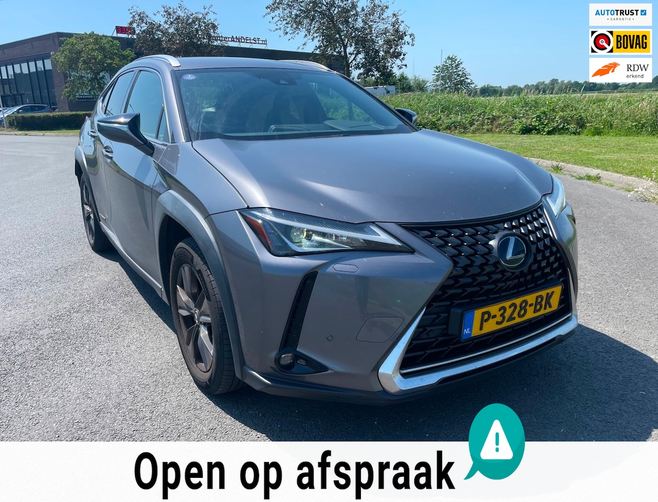 Lexus UX - 250h Business Line 250h Business Line, Aut, Acc, Stoelvrw, Navi, Pdc, Cam, Leder, LED, Bluetooth, Lmv, Goed o - AutoWereld.nl