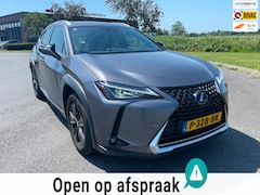 Lexus UX - 250h Business Line, Aut, Acc, Stoelvrw, Navi, Pdc, Cam, Leder, LED, Bluetooth, Lmv, Goed o
