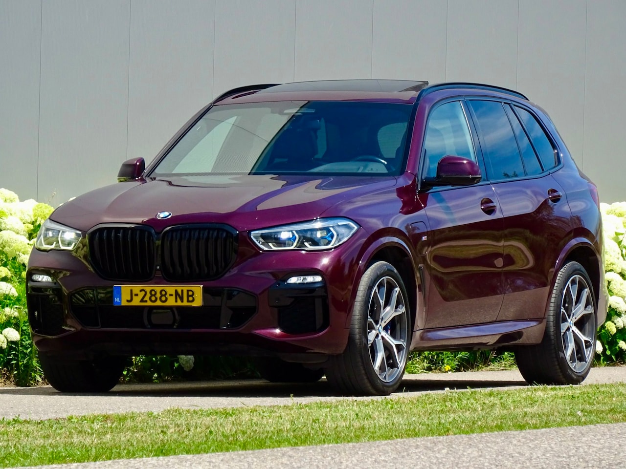 BMW X5 - XDrive45e High M Sport | ALLE OPTIES | ORG-NL | - AutoWereld.nl