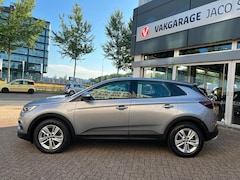 Opel Grandland X - 1.2 Turbo Business Edition