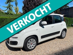 Fiat Panda - 1.2 Edizione Cool