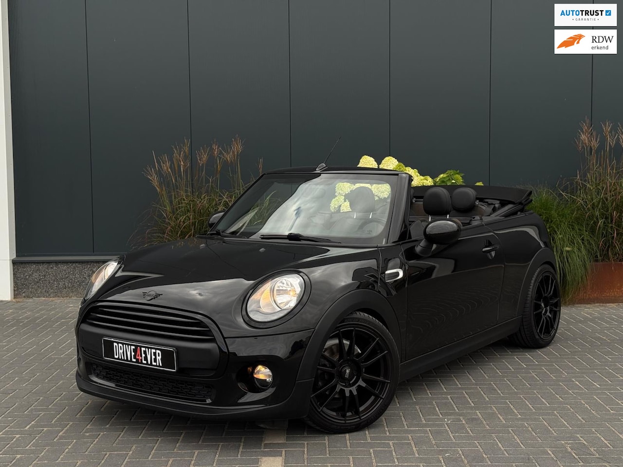 MINI Cabrio - 1.2 One Chili Business LEDER|LED|PDC|CLIMATE|SPORTVELGEN - AutoWereld.nl