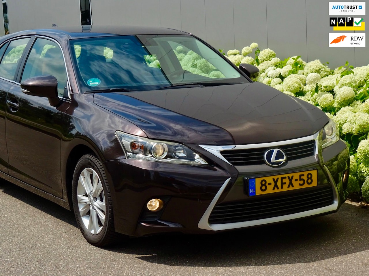 Lexus CT 200h - Luxury Sport | Leer | Navi | NL | Trekhaak | - AutoWereld.nl