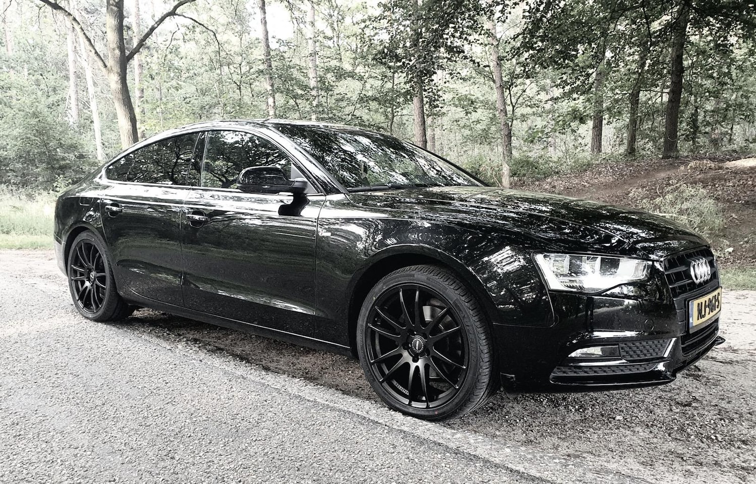 Audi A5 Sportback - 2.0 TDI Pro Line S Gechipt (270PK) - AutoWereld.nl