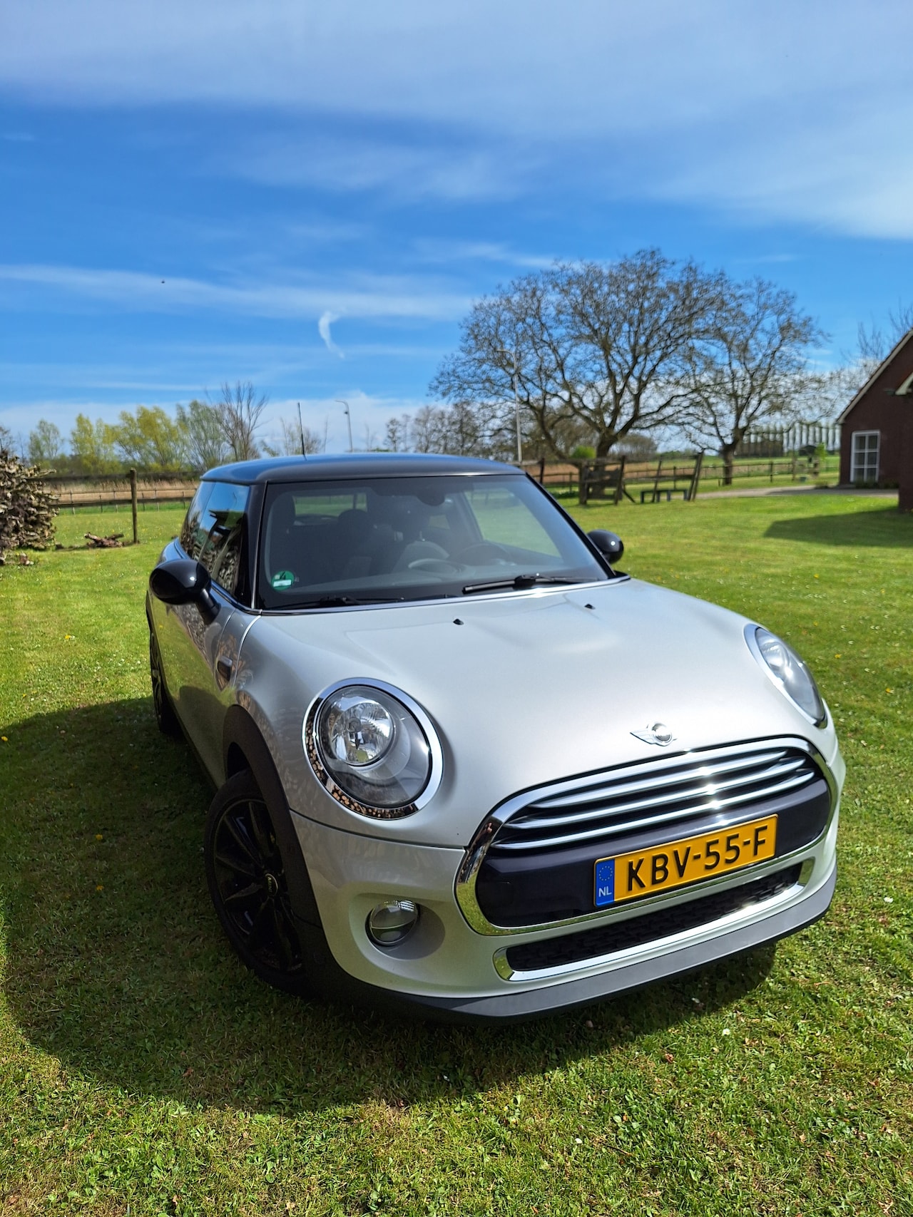 MINI 3-Deurs - 1.5 Cooper Cooper - AutoWereld.nl