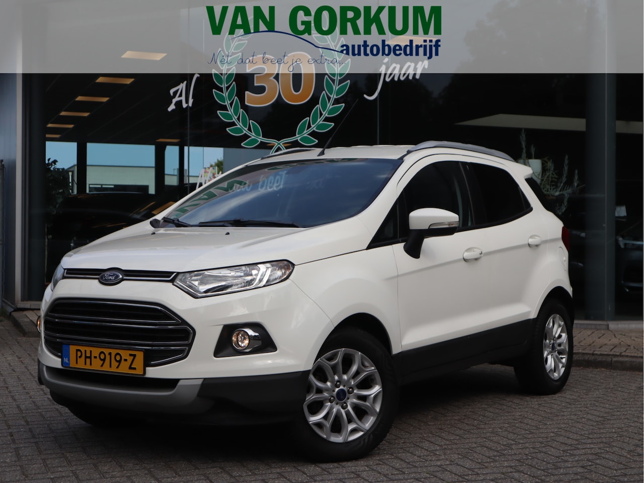 Ford EcoSport - 1.0 EcoBoost Titanium Navi / Stoelverw / Keyless / Pdc / Volledig jaar Apk / Volledig onde - AutoWereld.nl