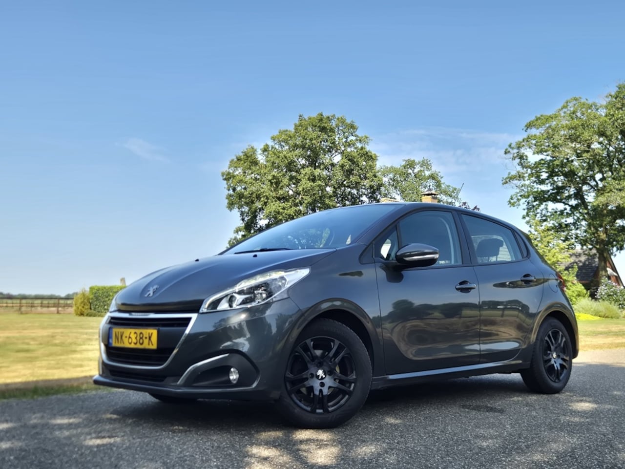 Peugeot 208 - 1.2 PureT. Blue Lion - AutoWereld.nl