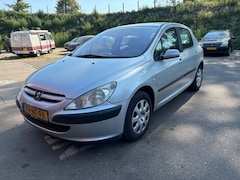 Peugeot 307 - 1.6-16V XS Pack