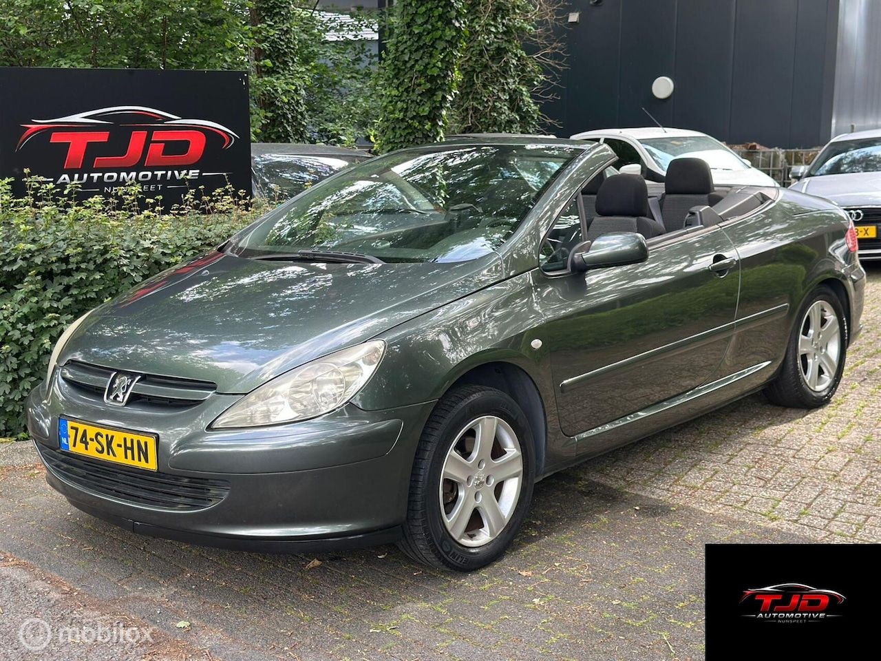 Peugeot 307 CC - 1.6-16V-CLIMA-CABRIO-CRUISE - AutoWereld.nl