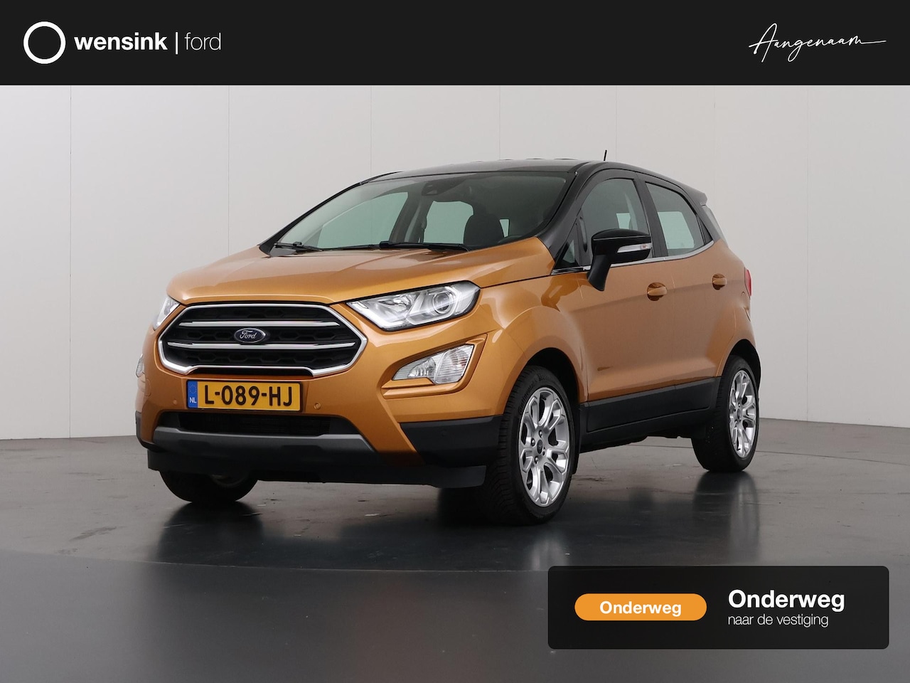 Ford EcoSport - 1.0 EcoBoost Titanium | Trekhaak | Winterpakket | B&O | Keyless Go | Parkeercamera | Navig - AutoWereld.nl