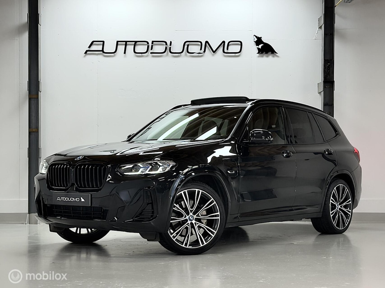 BMW X3 - xDrive30e High Executive | M Sport | Pano | Laser | HUD | H/K | Stuurverw. | Blindspot | 2 - AutoWereld.nl