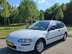 Honda Civic - 1.5 DXi New York
