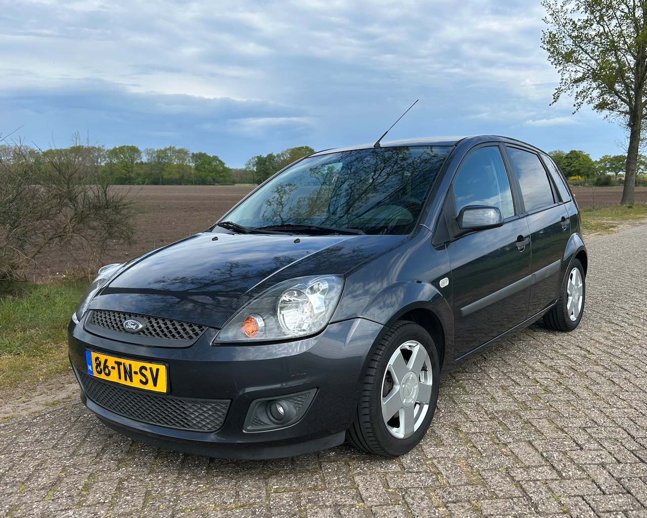 Ford Fiesta - 1.3-8V Futura Airco - AutoWereld.nl