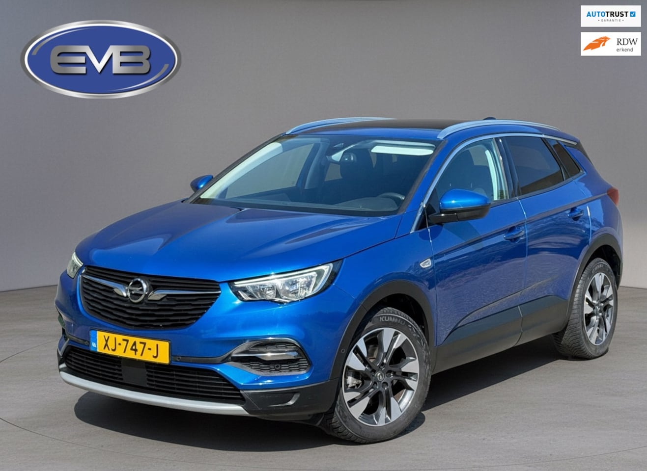 Opel Grandland X - 1.2 Turbo Business Executive 1.2 Turbo Business Executive, luxe uitvoering, distributie riem onlangs vervangen, NL auto - AutoWereld.nl