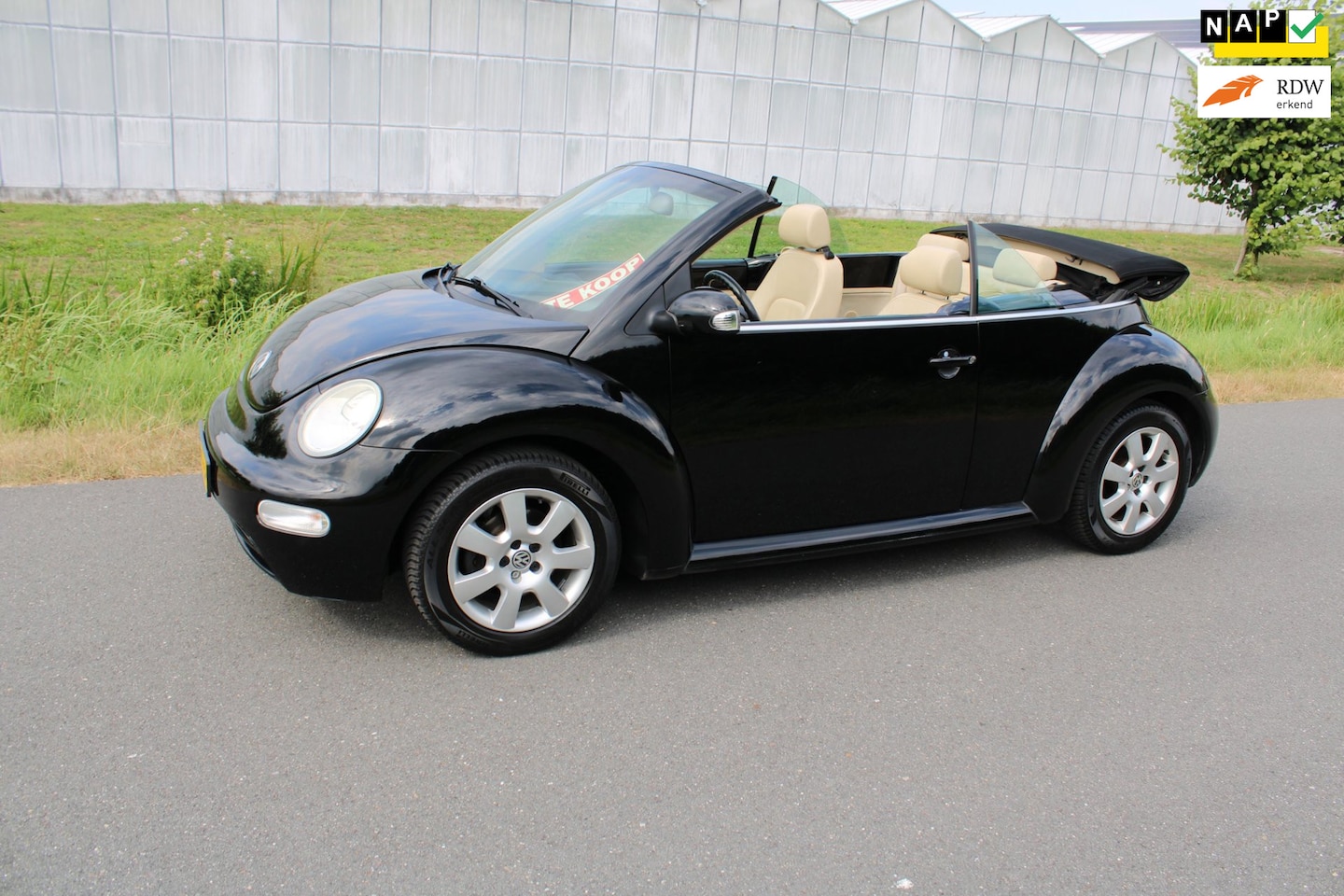 Volkswagen New Beetle Cabriolet - 1.6 met Leder en Airco en elektrische Kap - AutoWereld.nl