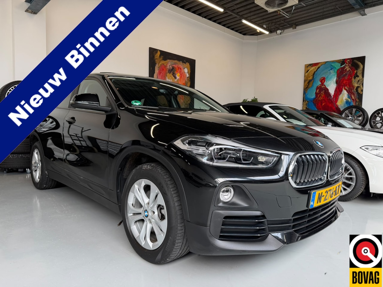 BMW X2 - sDrive18i High Executive Edition LED Panoramadak - AutoWereld.nl