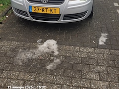 Volkswagen Polo - 1.4-16V Turijn