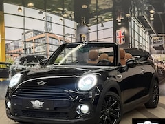 MINI Cabrio - COOPER AUT LEDER|NAVI|LED\1E EIG