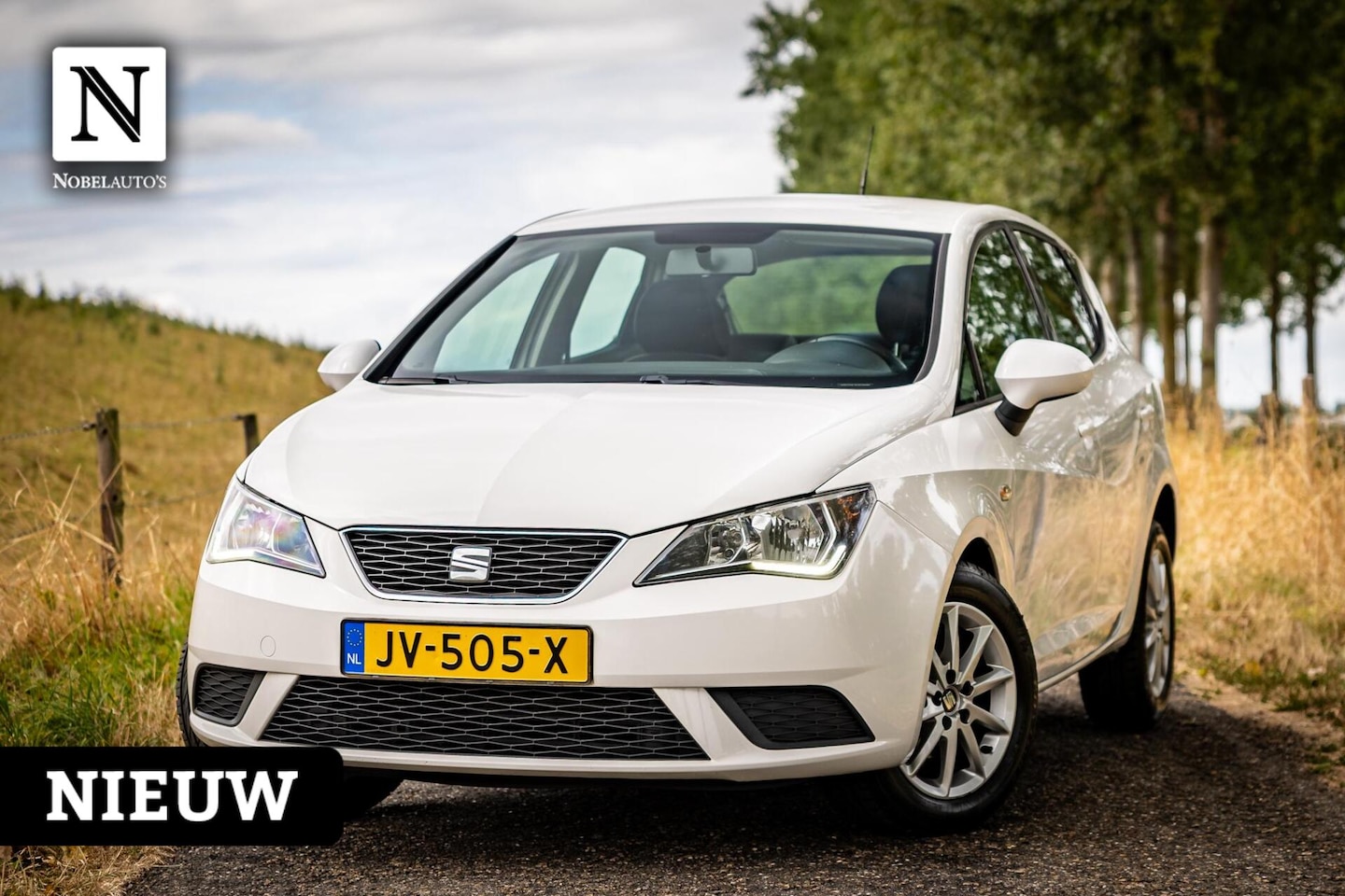 SEAT Ibiza - 1.0 EcoTSI Style |Nap |5deurs |LM velgen |Netjes - AutoWereld.nl