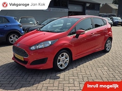 Ford Fiesta - 1.0 EcoB. Hot Hatch, Airco, navigatie