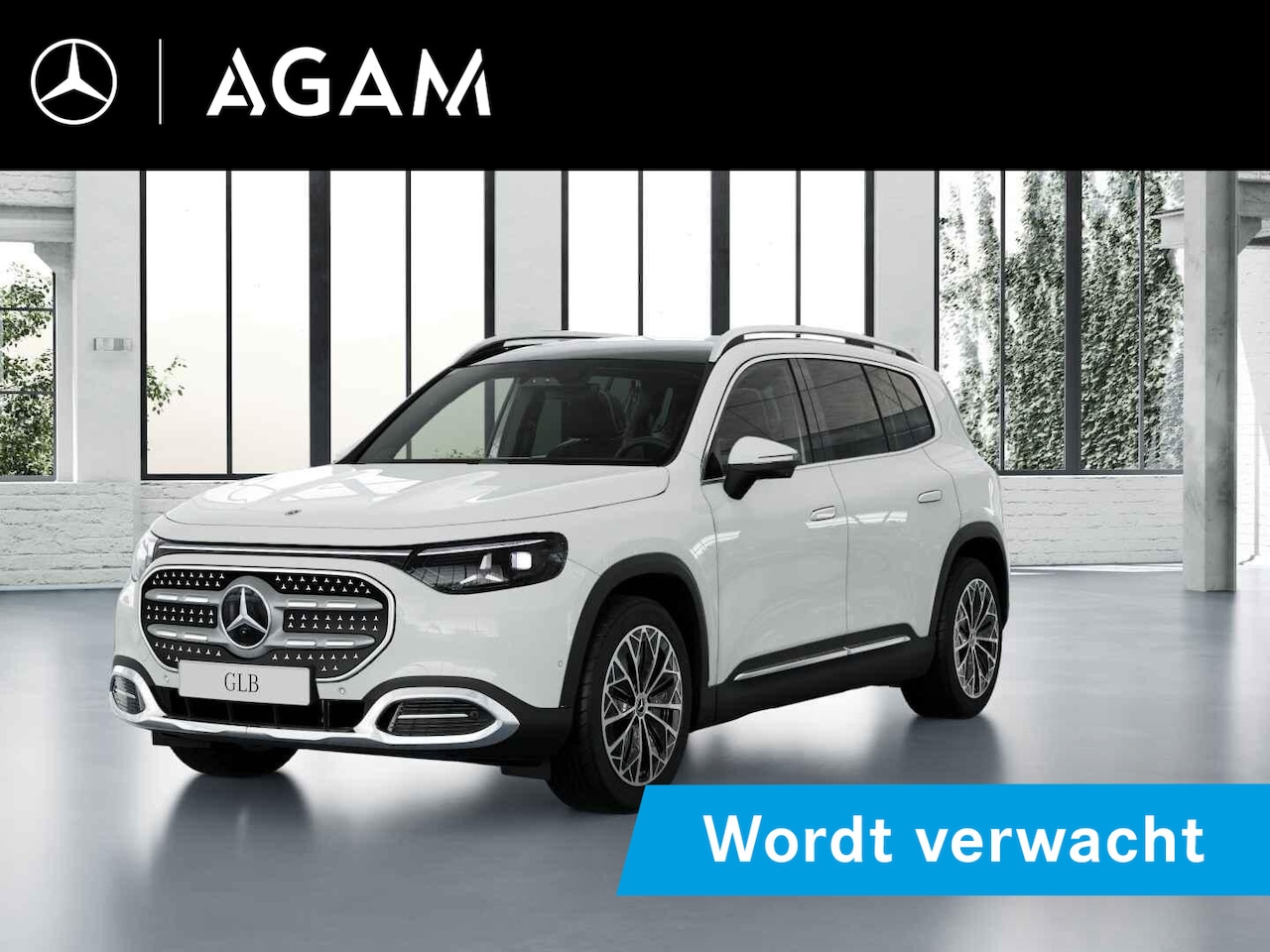 Mercedes-Benz GLB - 250+ Business Solution 85.5 kWh 250+ Business Solution 85.5 kWh - AutoWereld.nl