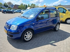 Fiat Panda - 1.2 Edizione Cool