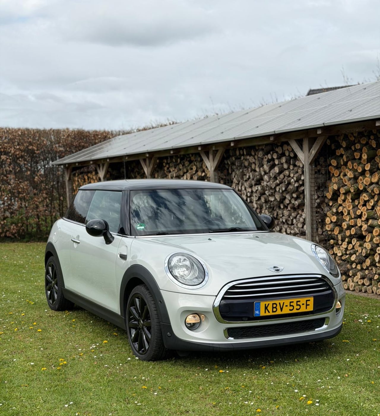 MINI 3-Deurs - 1.5 Cooper Cruise/LMV/Airco/PDC - AutoWereld.nl