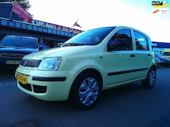 Fiat Panda - 1.2 Active (APK 2027)