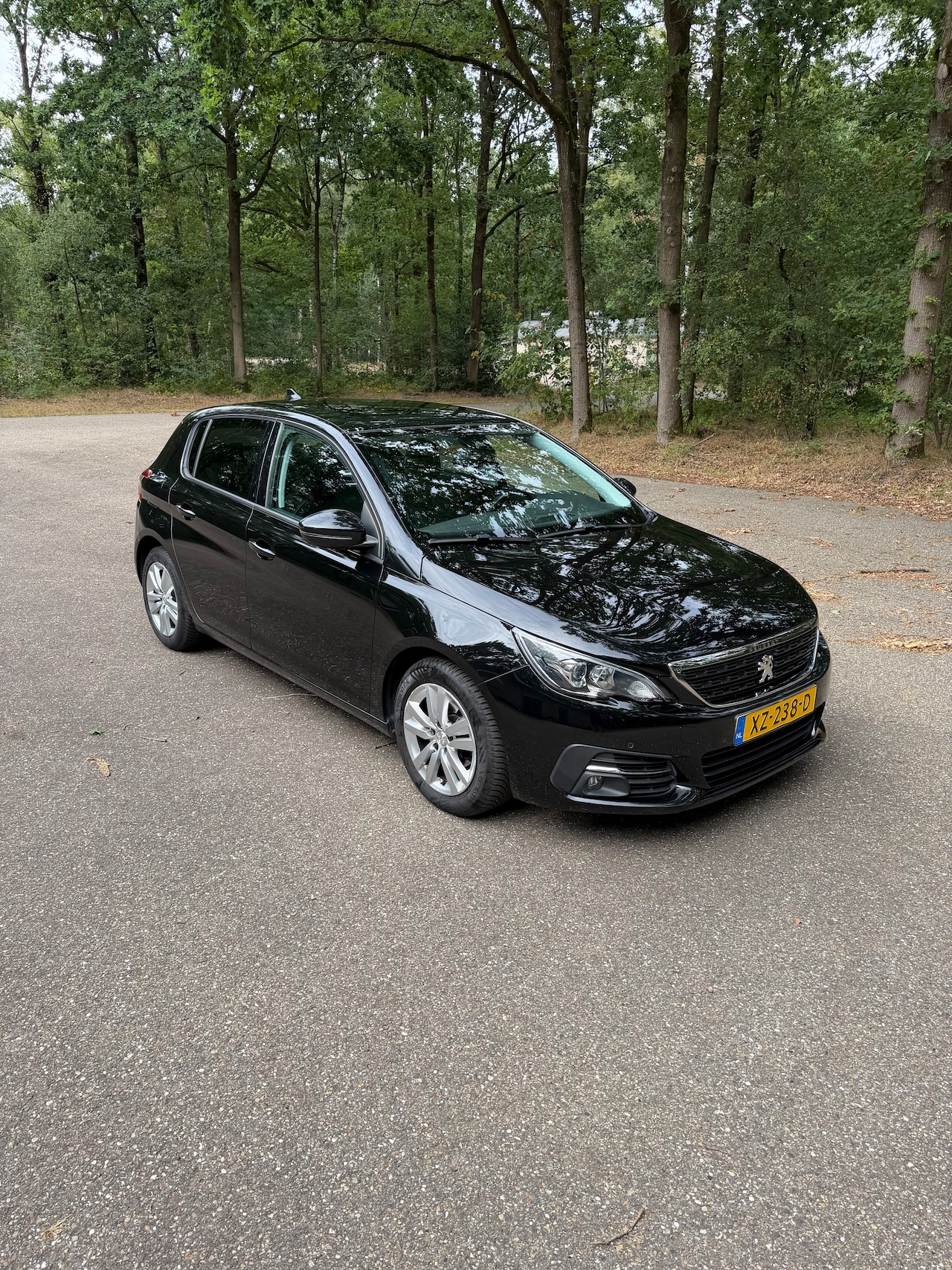 Peugeot 308 - 1.2 PureTech Blue Lease Executive Blue lease - AutoWereld.nl