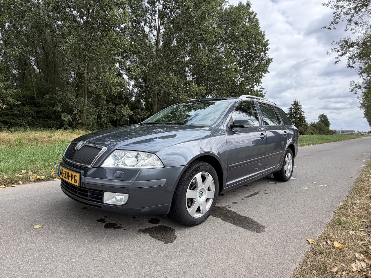 Skoda Octavia Combi - 1.9 TDI Elegance Attractive Business 1.9 TDI Elegance Attractive Business - AutoWereld.nl
