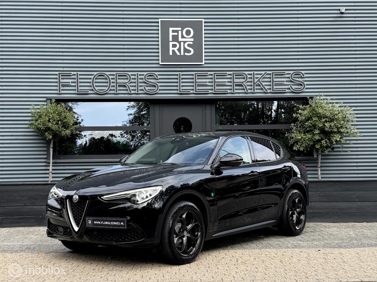 Alfa Romeo Stelvio - | 2.0 T AWD | 280 PK | Zwart Leer | - AutoWereld.nl