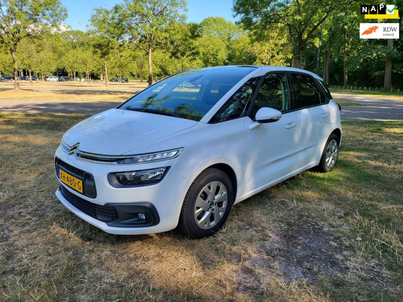 Citroën C4 SpaceTourer - 1.2 PureTech Live 1.2 PureTech Live , CruiseContr,ClimateContr. Enz - AutoWereld.nl